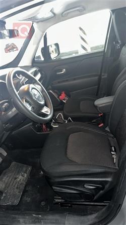 جيب رينيجيد